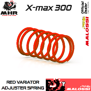 17~24 X-MAX 300 클러치 센터 스프링 [2918426.R0]